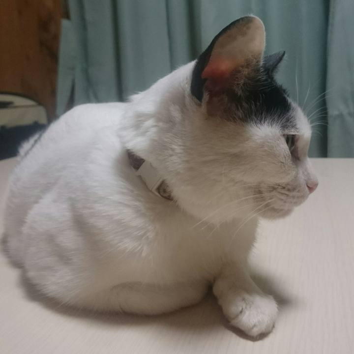 408dc07a dd8c 4de0 8e7a 723207f54cdf 1518438221084