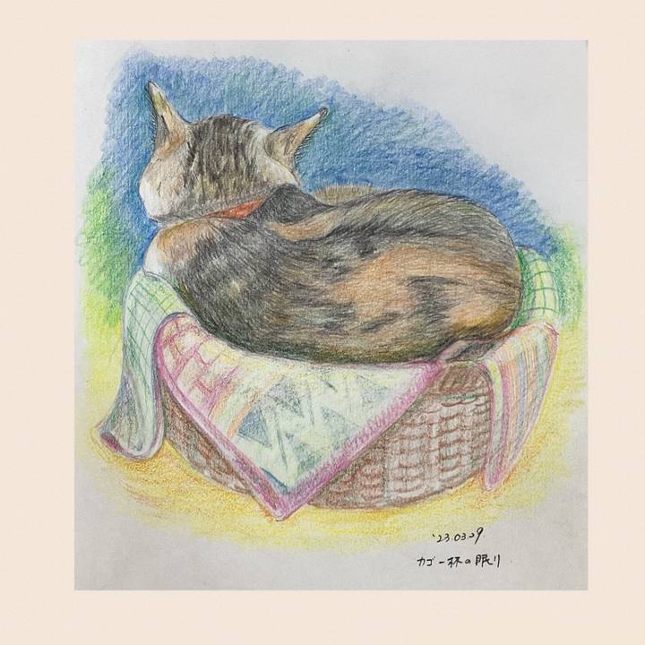 408de704 f994 4aae 9bae b83b327fbac5 1680132644723