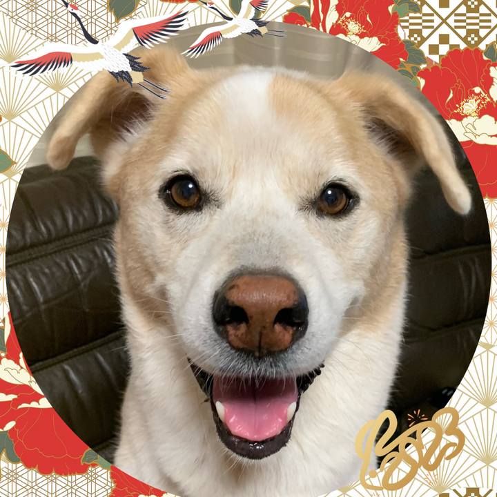 408e0151 74ca 4933 b89c 8f6c15ba8c1c 1672499444983