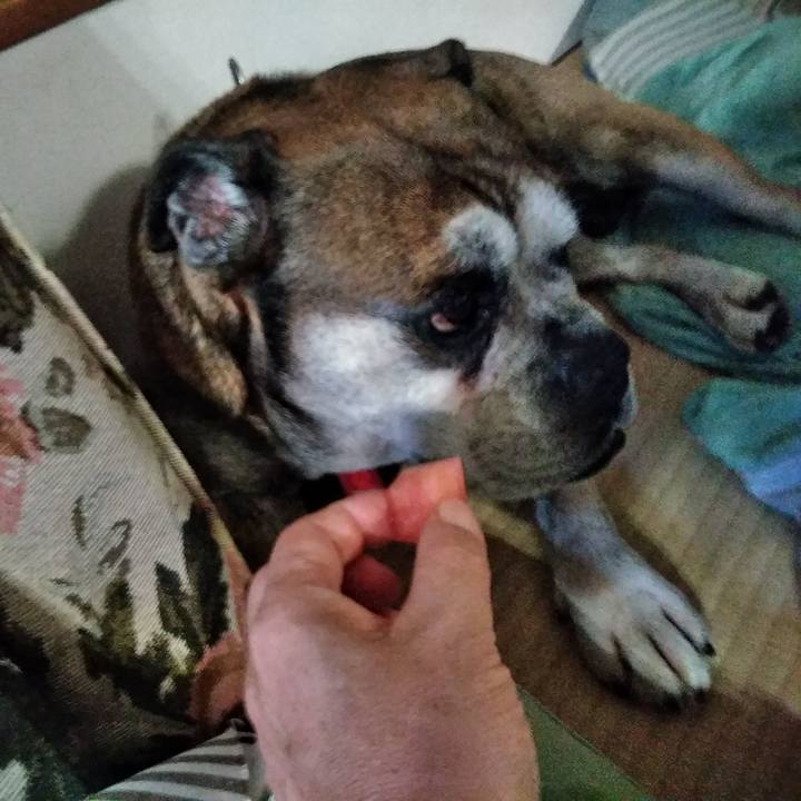 408e3f8c 6a91 4daf a464 a82ba2fa9a31 1564580997514