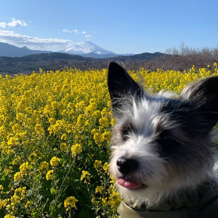 408e4b2a ad00 4efa 9b05 3980586fd30c 1581232249907