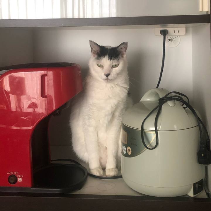 408e4cb1 29a8 485a bebf 905588e24c69 1603002138469