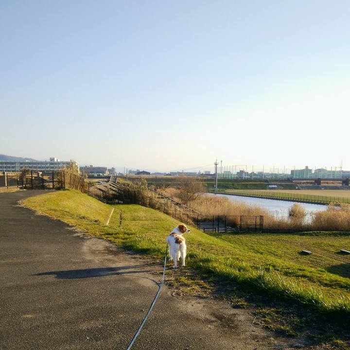 408e6b9d 2663 4882 af18 3ab214f7ad4e 1551181756941