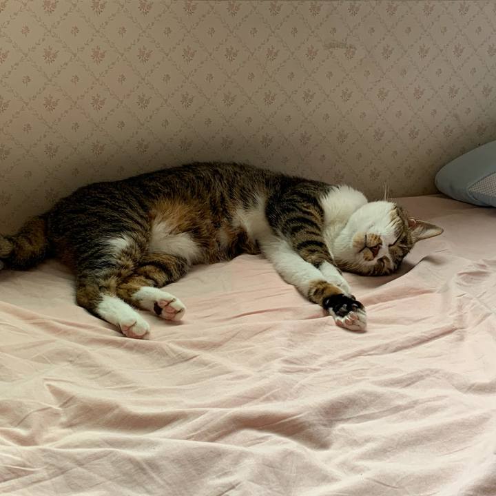 408ecad0 a991 499c 8338 a344578159da 1596956866691