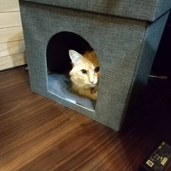 408ef502 ea99 4249 9858 5ed985b94cec 1640775807491