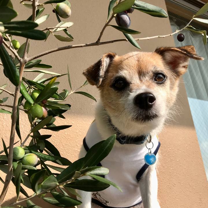 408f2768 cceb 4f51 b336 d9093fb1c1b2 1633392007865