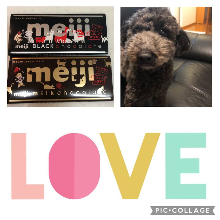 408f5d9d 65a4 4373 9ace 44a4ddcec9e8 1612943483316