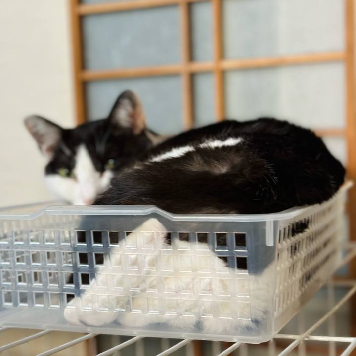 408f6e38 e9fc 43cd bae9 2946b00c23d4 1692577338240