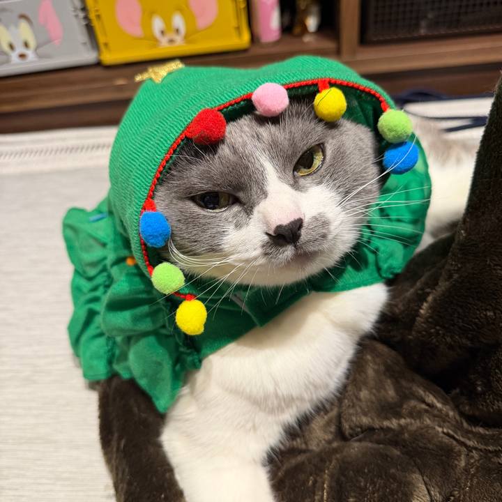 408f8295 86c8 4c96 8fea 26756b06f7db 1766589779786