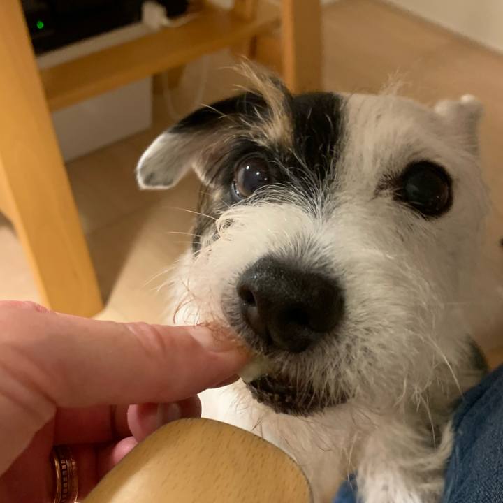 408f9661 4da2 40e5 829d 1f26e4f75094 1730541187475