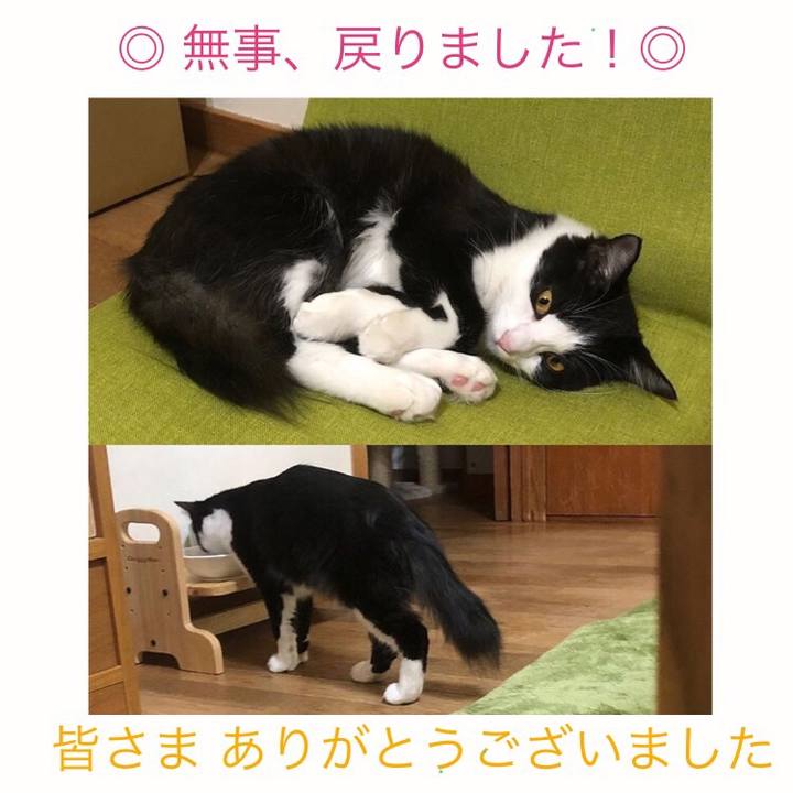 408f998d 4c61 4193 ada6 49c1ed0e95d8 1542813447629