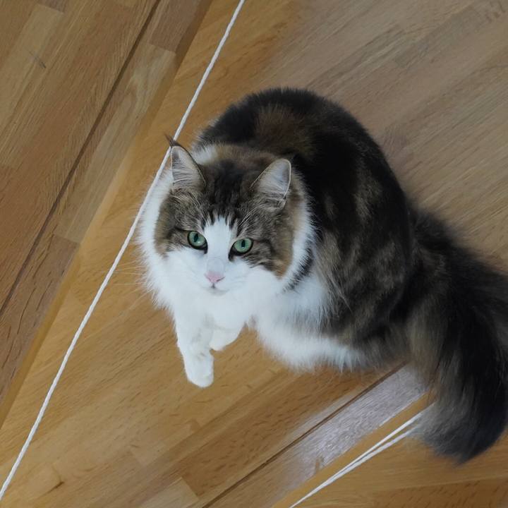 408fa0cf 6fc7 4957 838b bbfa21d11dcd 1607486027685