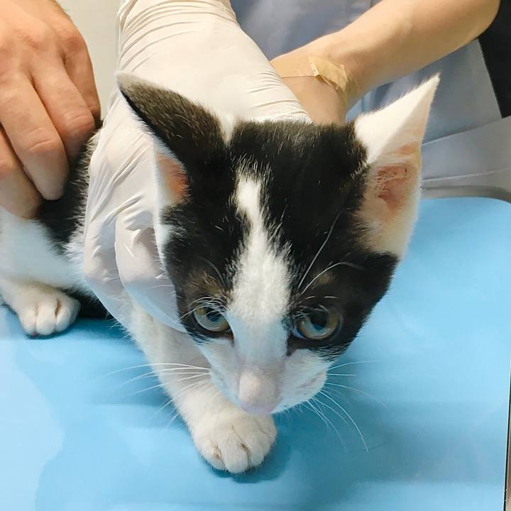 408fc911 88e5 4192 846a 4e52fe14686c 1629338135549