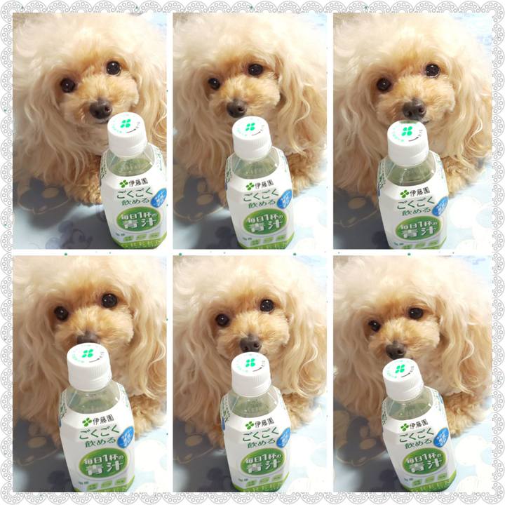 408fe050 66b7 4786 a7ec f047bf0ac770 1636718242034