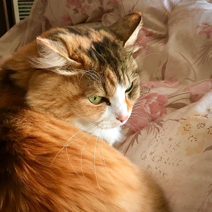 409050a2 a552 40e7 a0eb a81ac7c184c6 1582006462253