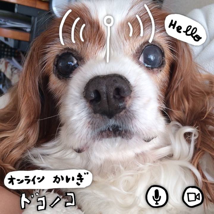 409085a1 00cd 4a28 806b d06460862753 1593863982273