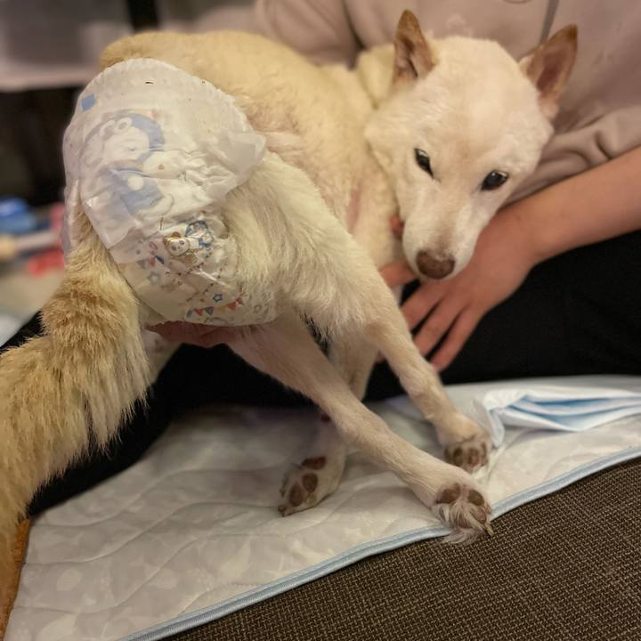 4090a244 89f2 44f4 979f 4025208fcdb4 1668426465713