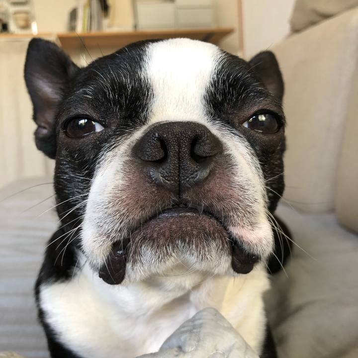 4090a986 8dda 4aae 812e 433c33297db7 1654323792453