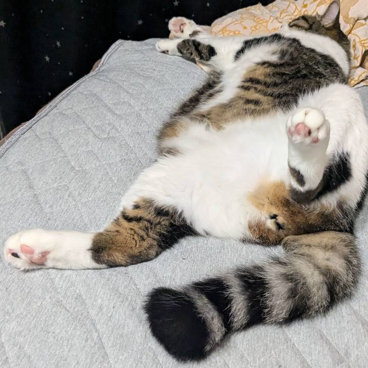 4090da91 7cad 4876 b93e f7bb7cdcfde7 1724147918840