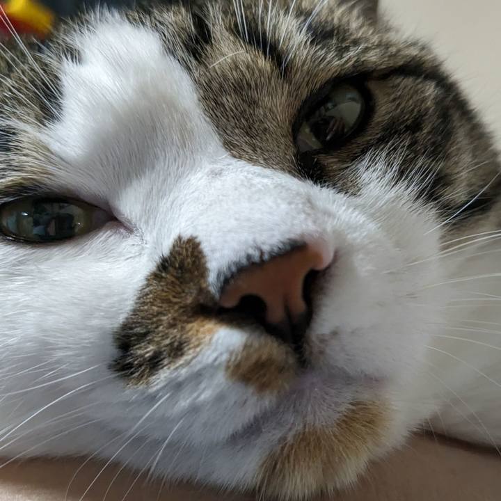 4090fd2c 0cda 43c0 b2e4 317acea92be2 1717067129515