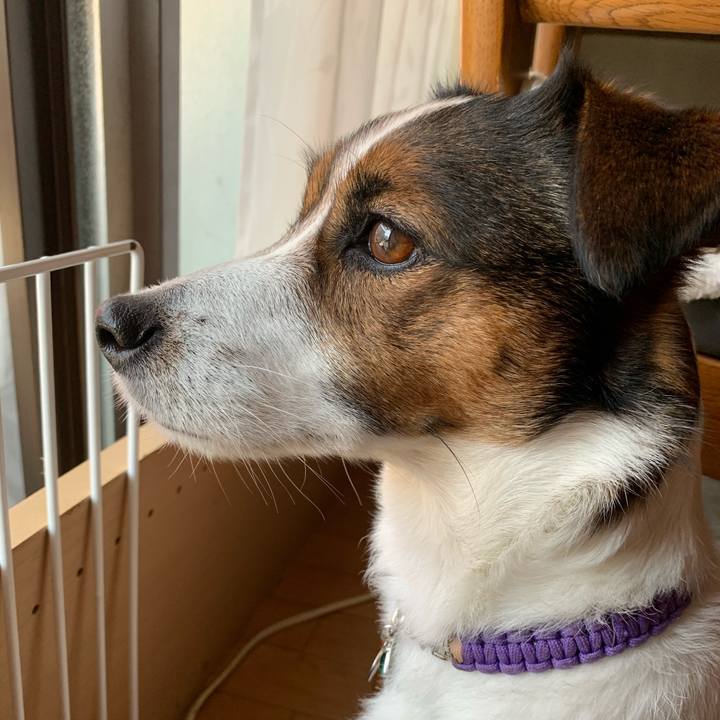 40910df7 6511 49cb 8c6d cf78637618b2 1588134727075