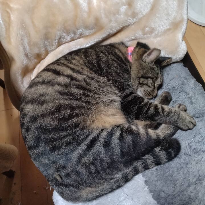 4091156e cbf1 44fc b0c1 103fa123bdac 1666044331264