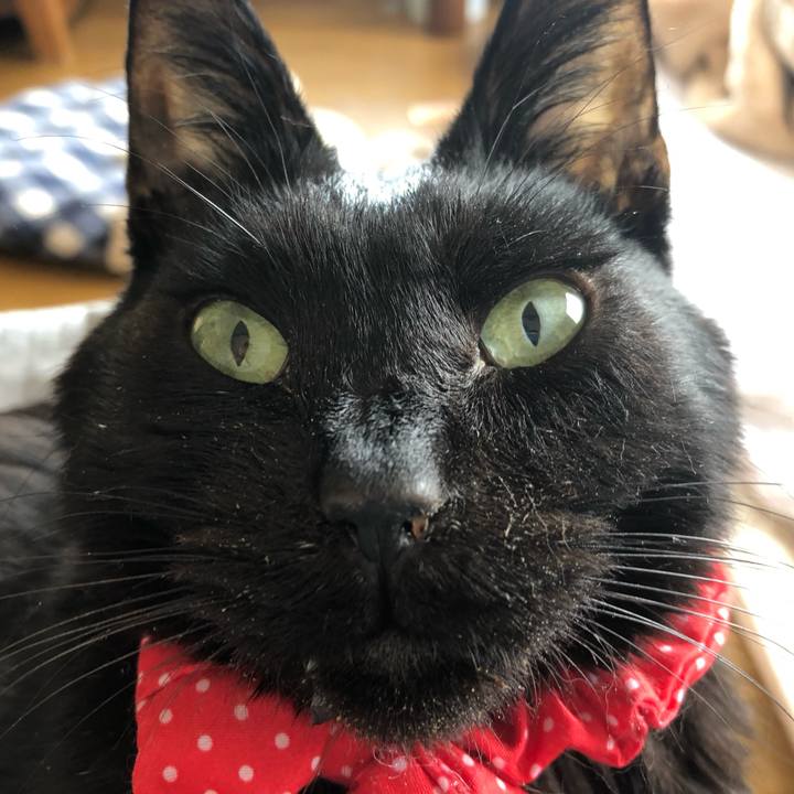 409116c4 8bd4 47b4 9b02 15008d4e4155 1556592691009