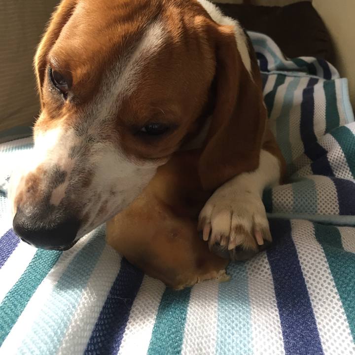 409136cb 3c99 40ea ba96 e414c1602fd7 1534225462018