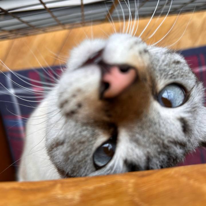 40914d6a ec7a 46ca add2 1f4b9f5d64aa 1767595818725