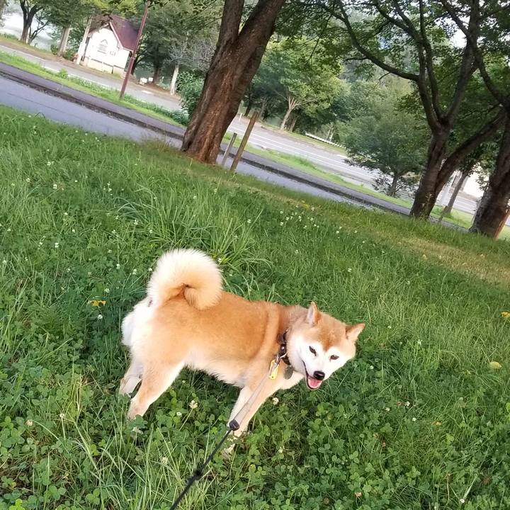 40915e1d 691d 49a4 b189 9dcfdc68626a 1627807571391