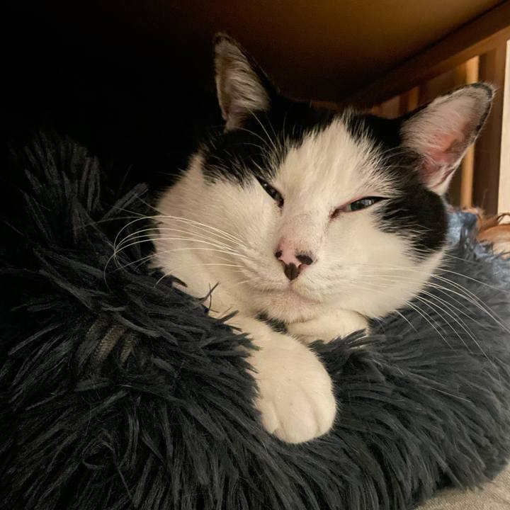 409172c0 92c4 464a 90c1 f037191e6635 1703860938398