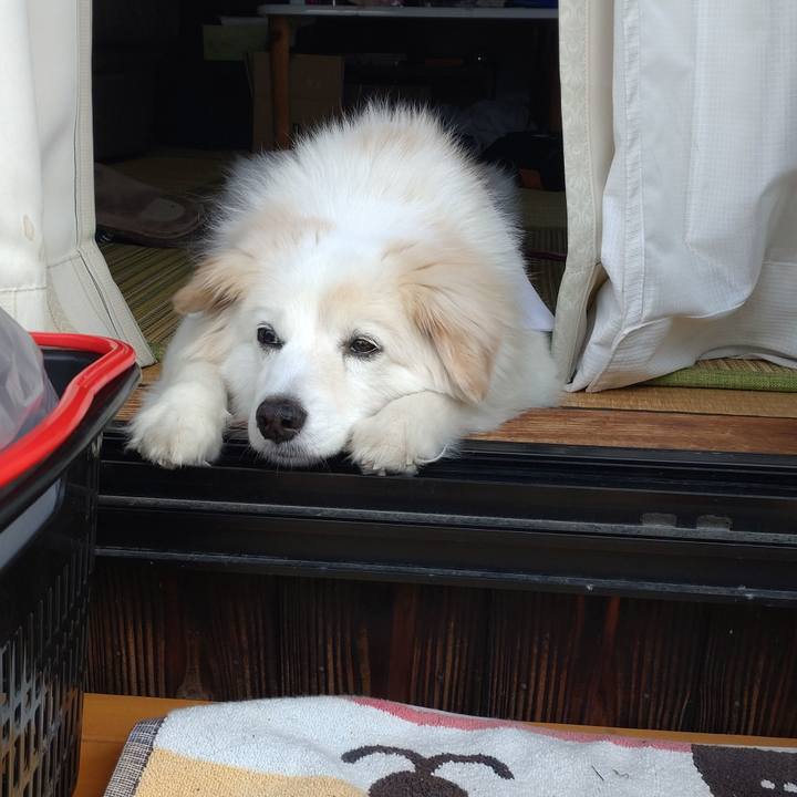 40917ec8 c0b2 437b 944d 54525c78fffd 1649557771146