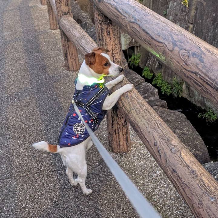 40922623 709b 4657 bb33 1087b78e9630 1739085914424