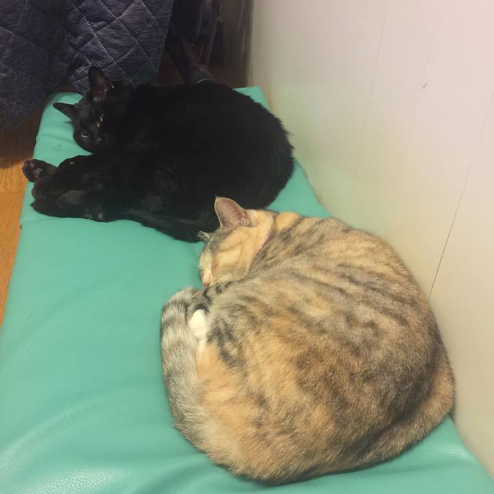 40922833 e1e9 48ee 8650 6df8ab671dd1 1557837156818