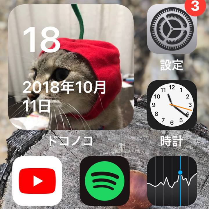 40923ce9 a67c 4a33 8464 2ed82ddcf5c1 1634480675015