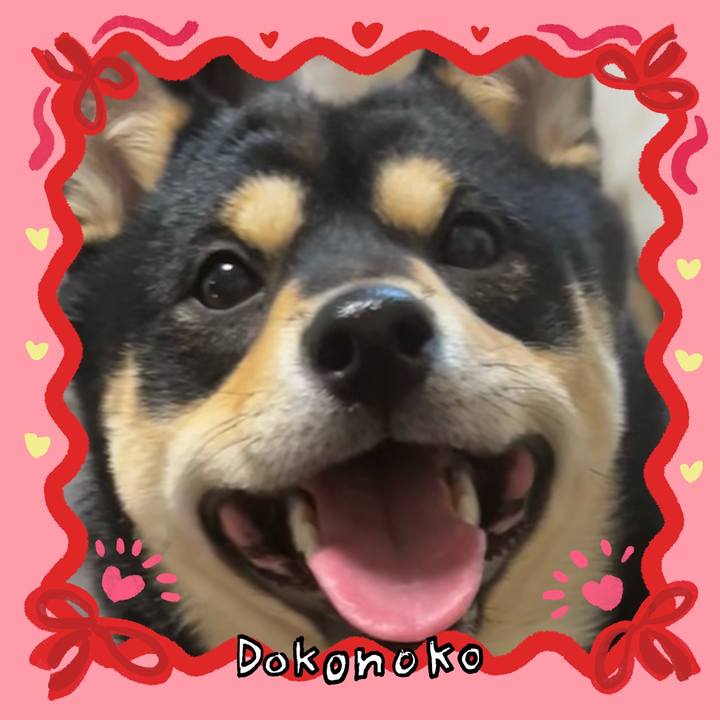 409251a1 e31e 4eda a151 9dc85ba0af01 1706800204954