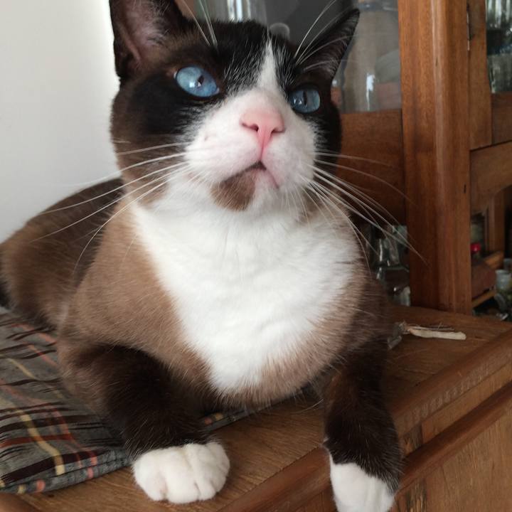 409258f8 dd3d 4d3e a148 1654f9fd6d67 1549033177092