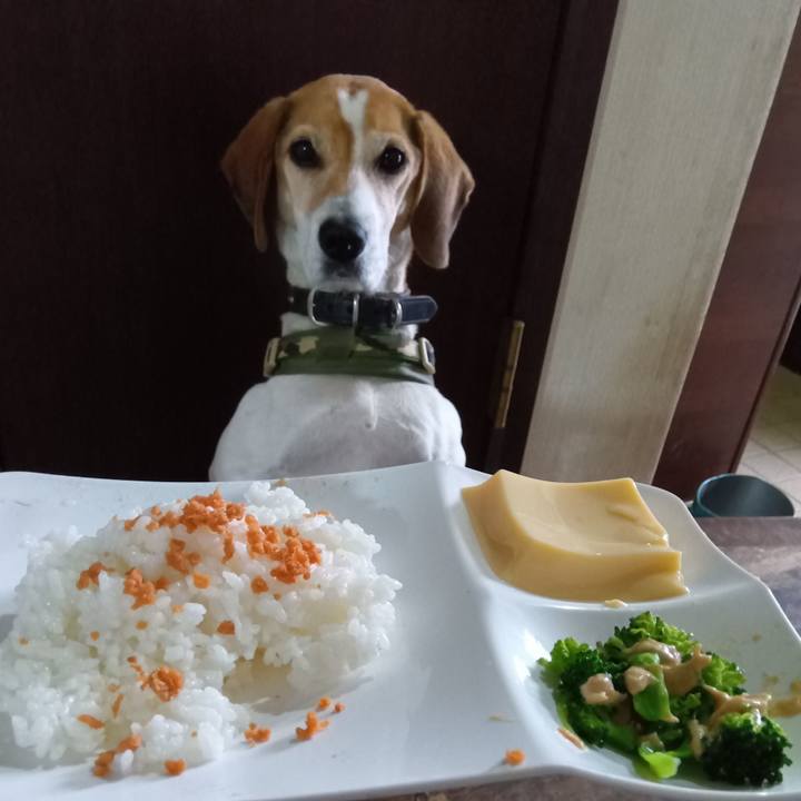 40928871 1bde 4a5a be2d dbfb348b4510 1731987108449