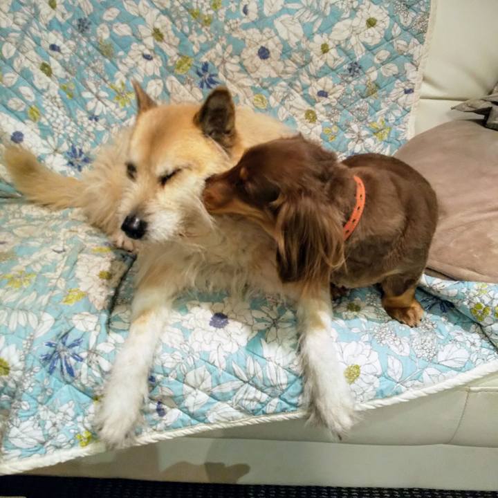 4092aabe e8c3 44ff 9456 b7205c15b882 1552476532830