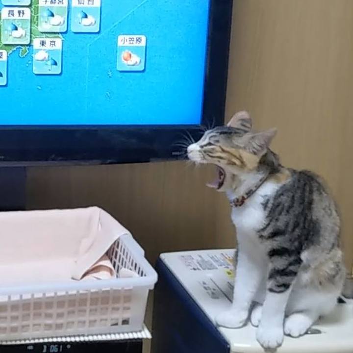 4092b952 be2a 4e8c b63a 143b0907a7d4 1630664105947