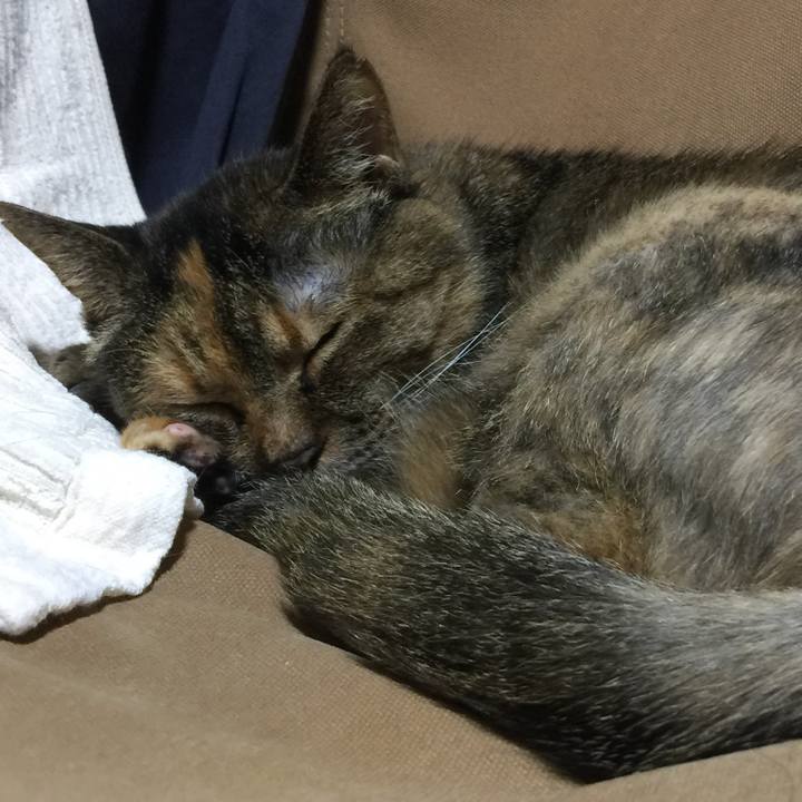 4092ba77 ceba 459b 96c7 28097bc2fa5e 1534848305302