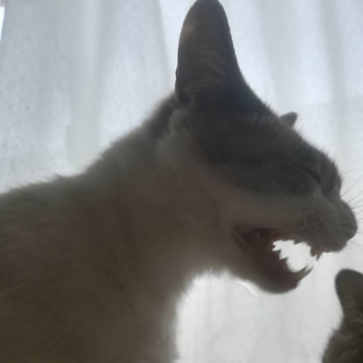 4092f374 afd3 4fc4 af3b 3e963016fe0b 1525514184180