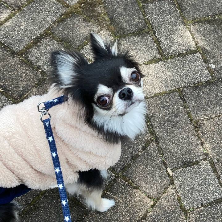 40932b4c 75f6 4449 8e56 d5b0c986b0b9 1642914061401