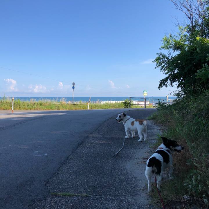 409335ac c675 49ed a9bf 7db3b0c1538a 1565396881927