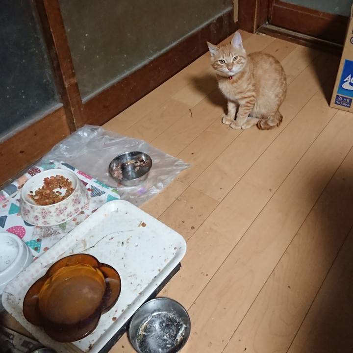 40933d6d dd5b 4099 938d 0753c198c4c4 1635538484086