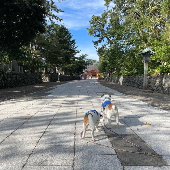 409379bb 4097 48c9 a68a 9cec8cfb6d56 1692056974329