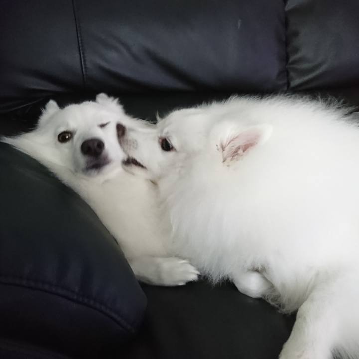 4093fee5 fff9 4a02 9d52 fe404a7220eb 1564726991296