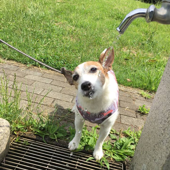 40943afa 3625 4bd7 9f93 b847b6ef58f2 1657412406874