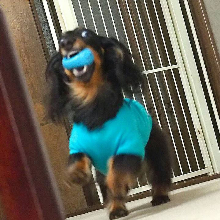 40943c50 9b7f 43ad 93da f18b4dc7ca9f 1522635021639