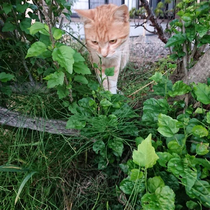 4094953f ea1d 4304 8551 e8ada647768a 1560423708981